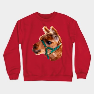 Alpaca Head Crewneck Sweatshirt